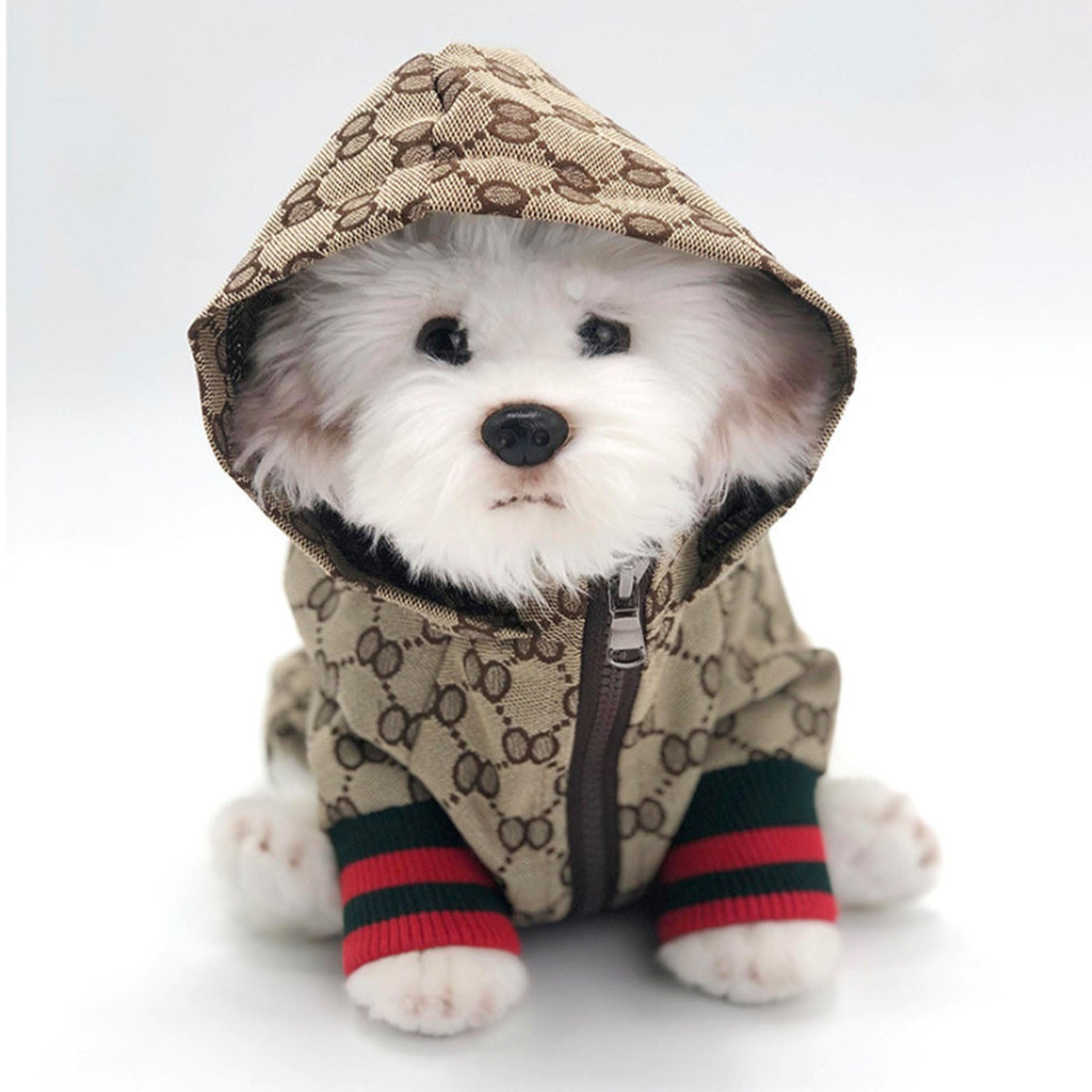 cute pups with dog hoodies canada
